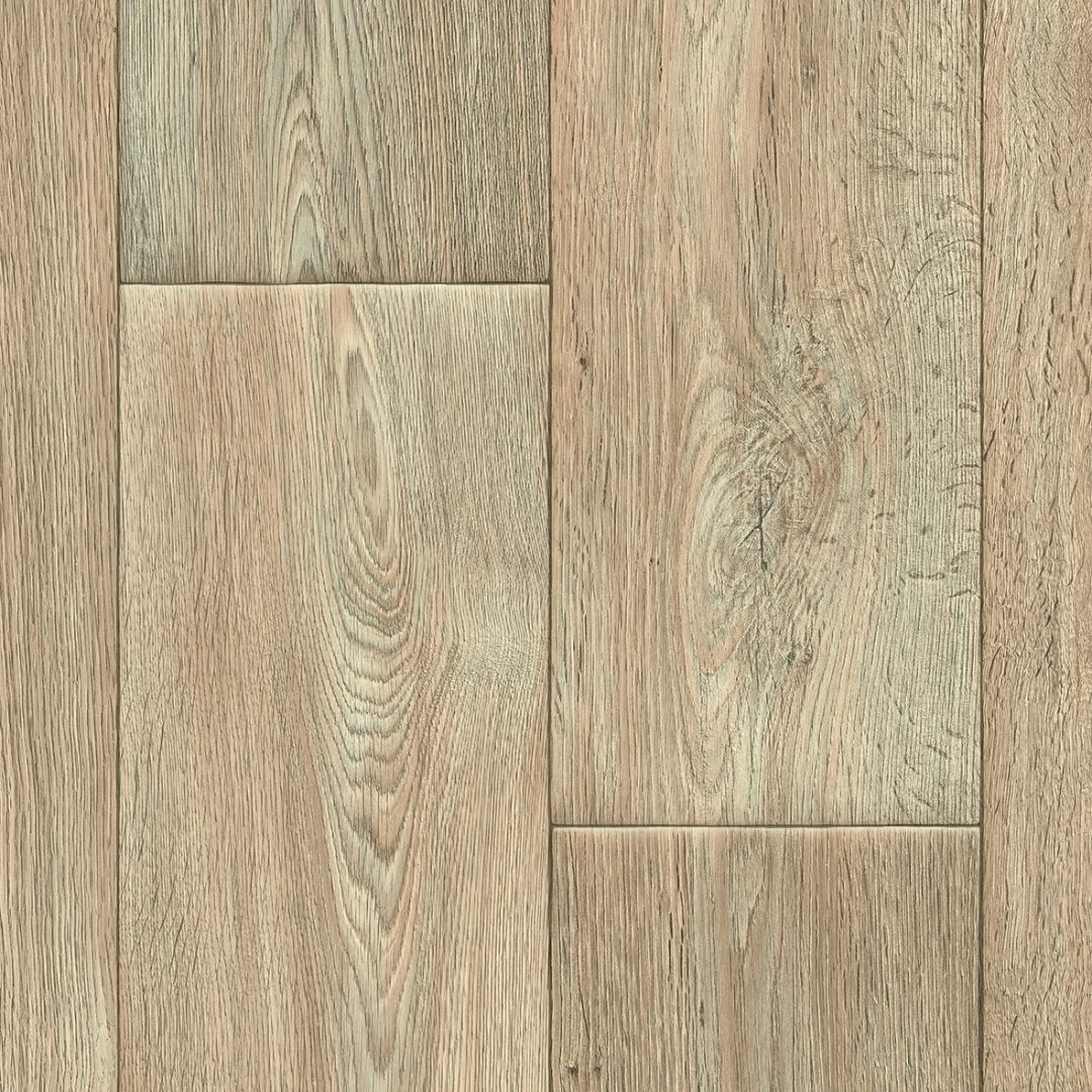 CHESTNUT OAK 35.tif tempo